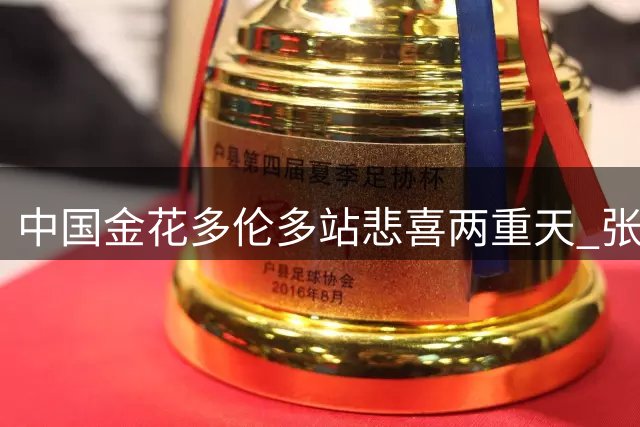 中国金花多伦多站悲喜两重天 张帅复仇战强势晋级